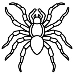 Spider Linework Vector