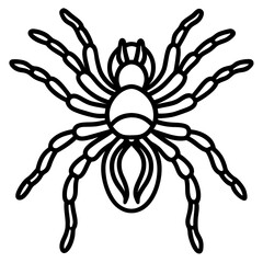 Obraz premium Spider Linework Vector