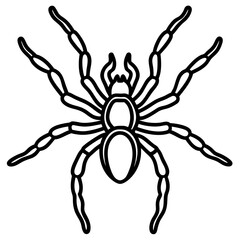 Spider Linework Vector