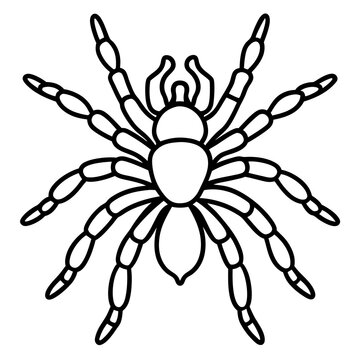 black spider outline drawing clip art preview