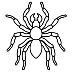 Spider Linework Vector
