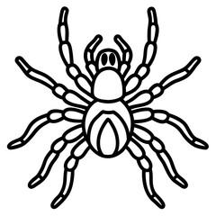 Spider Linework Vector
