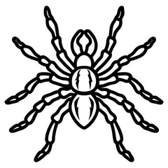 Spider Linework Vector