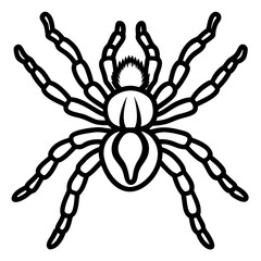 Spider Linework Vector