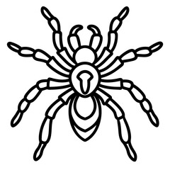 Spider Linework Vector