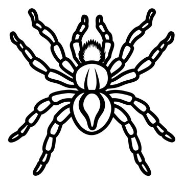black spider outline clip art preview