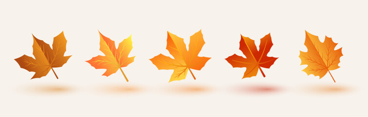 eco-chic a decorative autumn leaves in collection