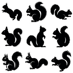 A set of squirrel vector silhouette isolated white background