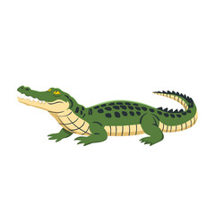 Simple Illustration Of An Alligator