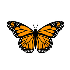 Simple Illustration Of A Butterfly