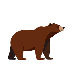 Simple Illustration Of A Bear