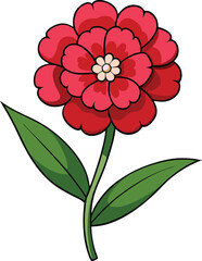 Sweet William flower vector illustration, botanical floral design, blooming dianthus barbatus, nature clipart, decorative garden plant, elegant blossom artwork.