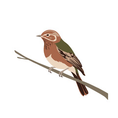 Simple Illustration Of A Nightingale