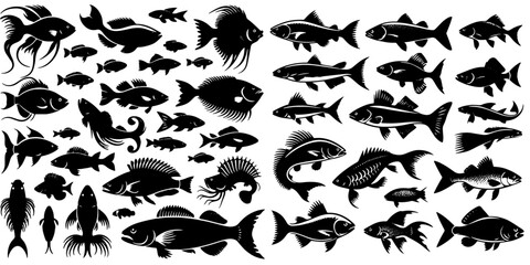 Vector, isolated black silhouette of a fish, collection, black and white color