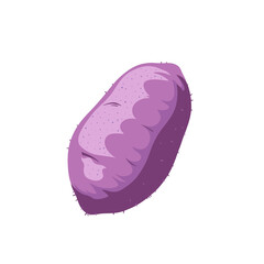 Illustration Of A Sweet Potato