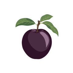 Illustration Of A Victoria Plum