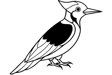 Stylized Woodpecker Linework