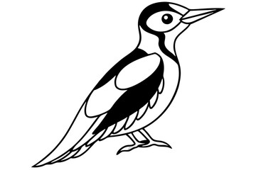Stylized Woodpecker Linework