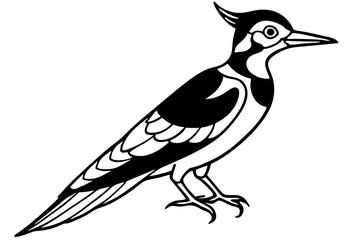 Stylized Woodpecker Linework