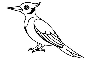 Stylized Woodpecker Linework
