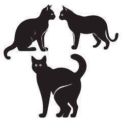 black and white cat on a white background