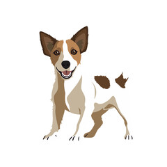 Jack Russel Terrier Dog With Broken Coat And Prick Ears