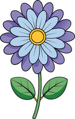 Cineraria flower vector illustration, vibrant colors, detailed botanical design, isolated on white, nature-inspired artwork, perfect for decoration, spring and garden themes.