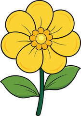 Buttercup flower vector illustration, detailed botanical floral design, vibrant yellow ranunculus bloom, nature-inspired decorative element for prints, patterns, and backgrounds.