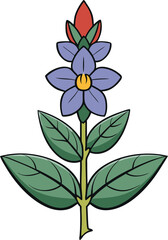 Borage flower vector illustration, detailed botanical floral design with blue star-shaped petals, herbal plant, decorative element for prints, patterns, and backgrounds.