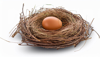 Egg in a Nest