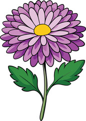 Aster flower vector illustration with vibrant purple and pink petals, elegant floral design perfect for botanical prints, wedding decor, cards, and nature-inspired artwork.