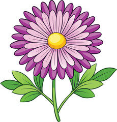 Aster flower vector illustration with vibrant purple and pink petals, elegant floral design perfect for botanical prints, wedding decor, cards, and nature-inspired artwork.