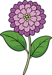 Ageratum flower vector illustration with delicate blue blossoms, perfect for floral designs, botanical prints, nature-inspired art, wedding decor, and digital projects.