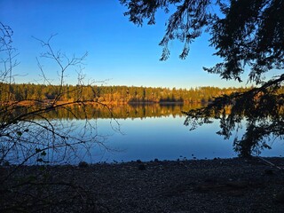 Autumn trees reflecting in the clear lake 