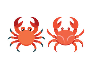 red crab vector