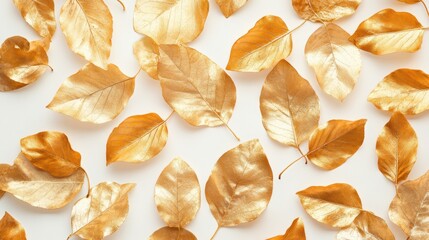 Fototapeta premium A vibrant tapestry of golden leaves, meticulously arranged on a pristine white backdrop, ready to elevate your decor with their artistic flair.