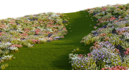 3D render of a walkway on a hill with a field of colorful flowers. On a transparent background