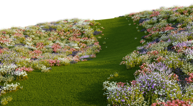 3D render of a walkway on a hill with a field of colorful flowers. On a transparent background