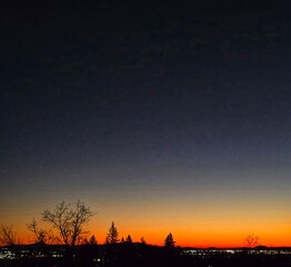 Obraz premium Vivid orange and deep blue hues paint the sky over a silhouetted treeline in this stunning Pacific Northwest sunset. City lights twinkle below, blending nature’s beauty with urban life.