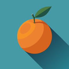 orange fruit vector illustration