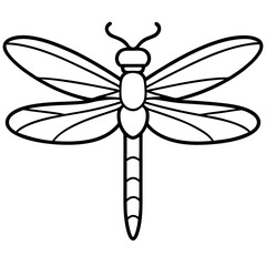 Graceful Dragonfly Illustration
