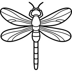 Graceful Dragonfly Illustration