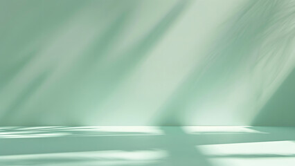 Minimalist Green Showcase with Soft Shadows