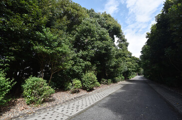 天智天皇陵　参道　京都市山科区御陵