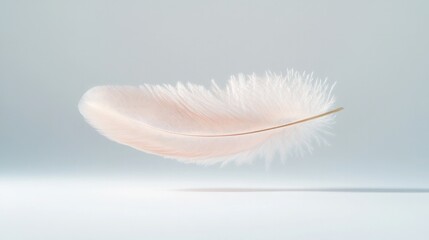 Obraz premium delicate feather floating on pristine white background with subtle shadows adding depth