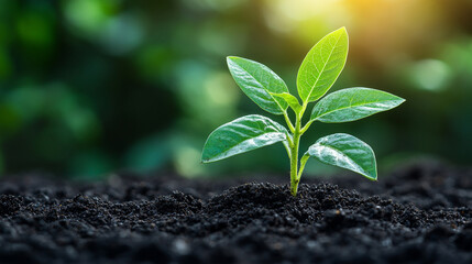 Naklejka premium Closeup of brown soil ground with rich texture, symbolizing fertility, growth, and sustainability. Represents farming, gardening, and agronomy, highlighting quality earth for sowing and plant nourishm