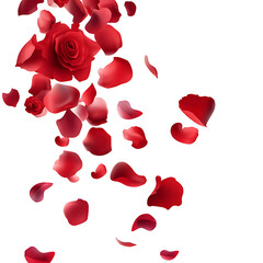 Red rose petals falling, isolated on a transparent background.