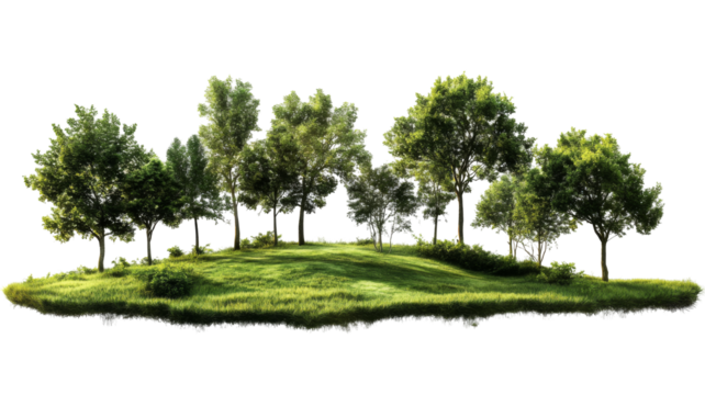 Lush green tree island nature scene png with transparency background vibrant landscape aerial viewpoint eco-friendly concept