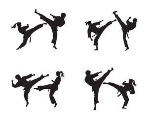 High Impact Martial Arts Techniques