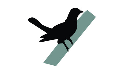 African emerald cuckoo bird Silhouette Design  And Vector Illustration. 
